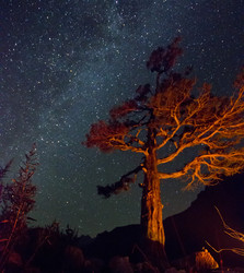 Similar image 8293616