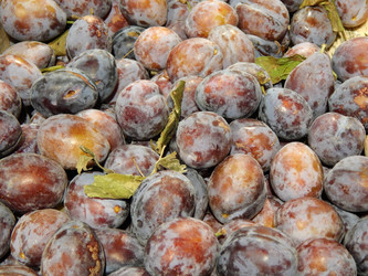 Similar image 8293627