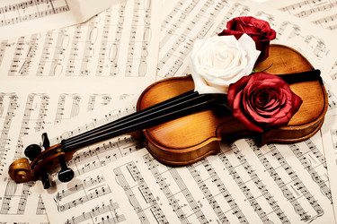 Similar image 8293654