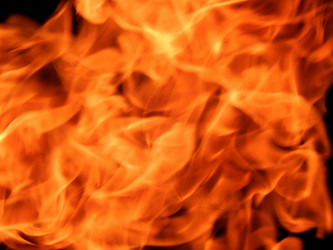 Similar image 8293659