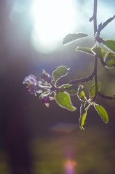 Similar image 8293684