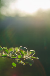 Similar image 8293685