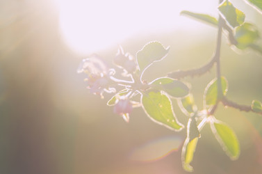 Similar image 8293690