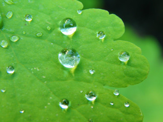 Similar image 8293691