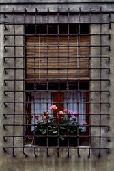 Similar image 8293693