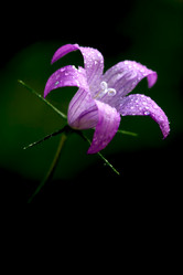 Similar image 8293702