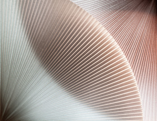 Similar image 8293749