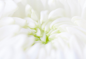 Similar image 8293763