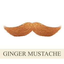 Similar image 8293839