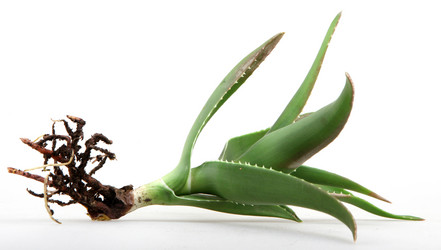 Similar image 8293878