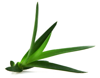 Similar image 8293879