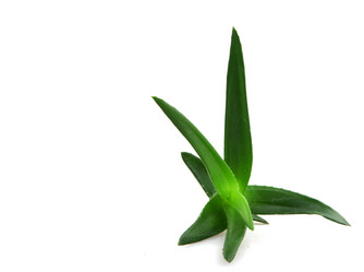 Similar image 8293881