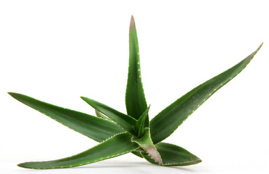 Similar image 8293882