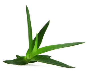 Similar image 8293883