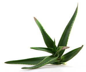 Similar image 8293887