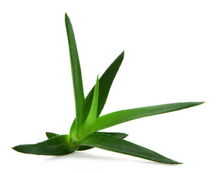 Similar image 8293888