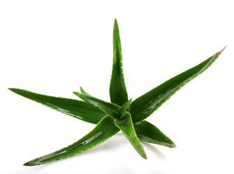 Similar image 8293890