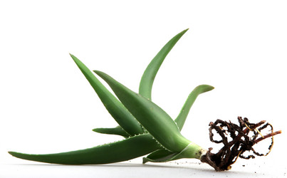 Similar image 8293891