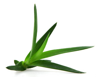 Similar image 8293895