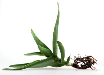 Similar image 8293896