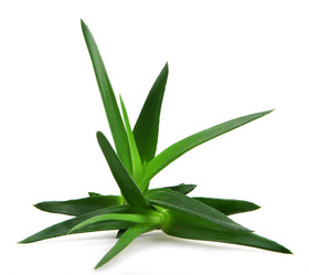 Similar image 8293921