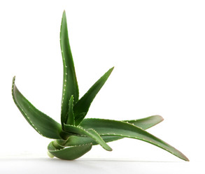 Similar image 8293922