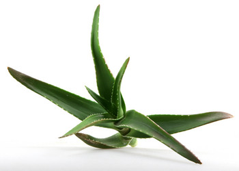 Similar image 8293924