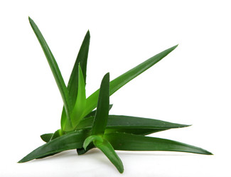 Similar image 8293925