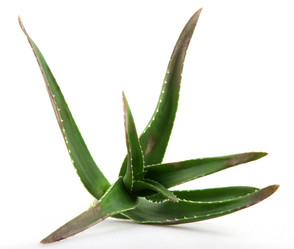 Similar image 8293927