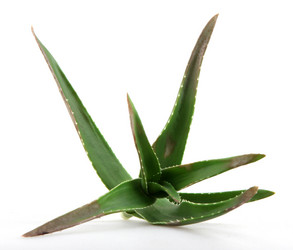 Similar image 8293930