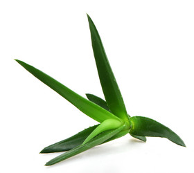 Similar image 8293931