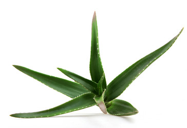 Similar image 8293932