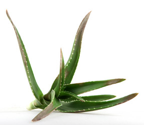 Similar image 8293934