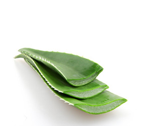 Similar image 8293965