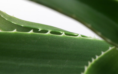 Similar image 8293969