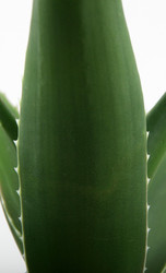 Similar image 8293971