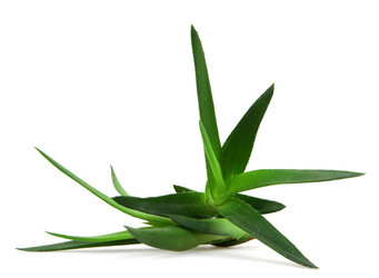 Similar image 8293972