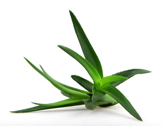 Similar image 8293974