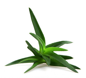 Similar image 8293977