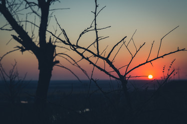 Similar image 8293992