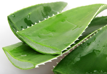 Similar image 8294000