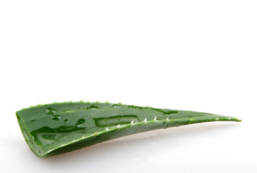 Similar image 8294002