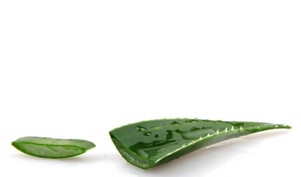 Similar image 8294006