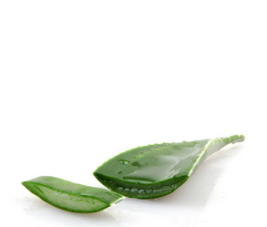 Similar image 8294016