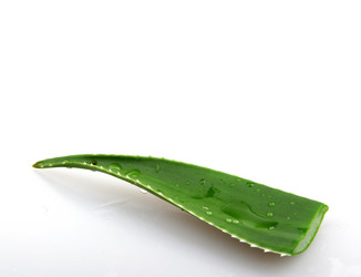 Similar image 8294049