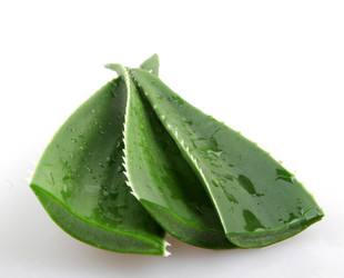 Similar image 8294081