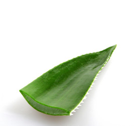 Similar image 8294093