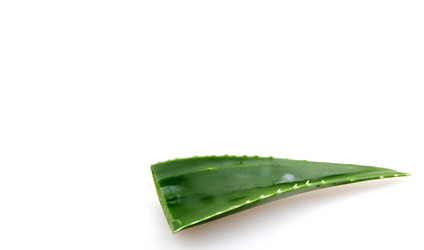 Similar image 8294120