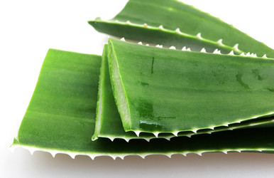 Similar image 8294121