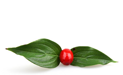 Similar image 8294129